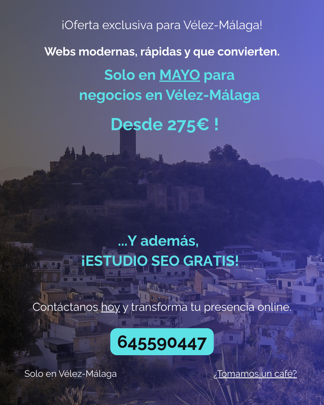 Oferta diseño web Vélez-Málaga