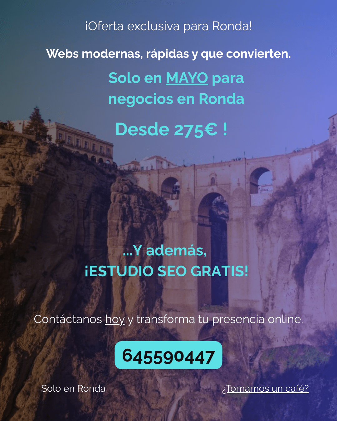 Oferta diseño web en Ronda